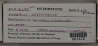 Image Associated With the Occurence